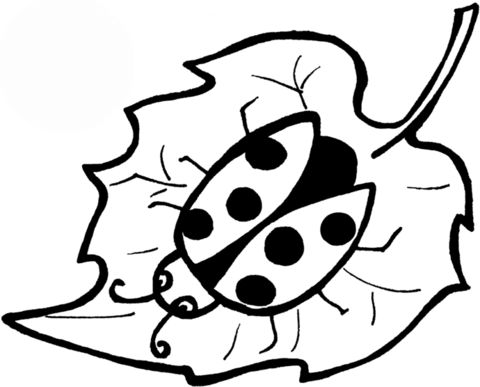 Ladybird On A Leaf Coloring Page